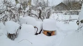 После снегопада, маленький монстр и новая люстра