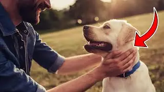 Discover 10 Scientific Secrets to Make Your Dog Love You a Lot More!