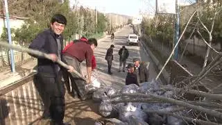 ДАНҒАРА: Кабудизоркунӣ ва бунёди боғу токзор.