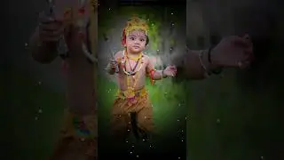 jai  shree gopala