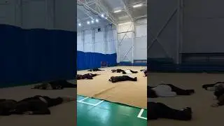 🫡Я РАБОТАЮ!