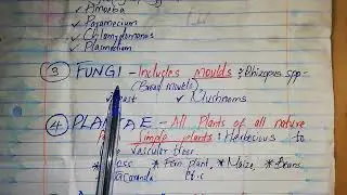 5 KINGDOMS OF CLASSIFICATION..... AND EXAMPLES...