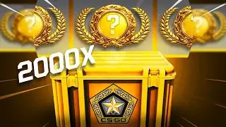 I Opened 2000 of CS2's BEST CASES | Did We Profit?!