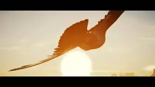 Assassin's Creed meets 5FDP! [GMV] - Got your Six