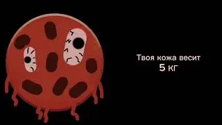 Жуткие факты: 2часть//ГД лица