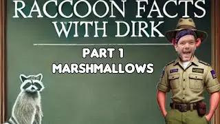 Raccoon Facts for Dummies