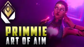 PRIMMIE - ART OF AIMBOT | VALORANT MONTAGE 