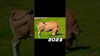 2023 ox 🐮 vs 5000 bce ox 💥 #viral #shorts
