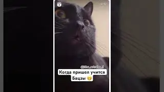 #бацзы
