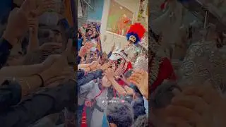 Zuljinah Baramdagi 8 Muhharram Nawab Badshah Faisalabad #zuljinah #youtubeshorts