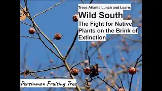 lunch and learn: wild south- the fight for native plants on the brink of extinction