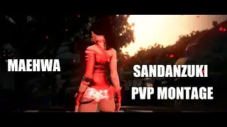 The Apricot - Maehwa PvP