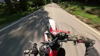XE 125 SOUND ANIMALESCHI