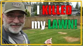 I KILLED my PERFECT Lawn!! | I'm DUMB and this is how I FIXED it in FOUR weeks!