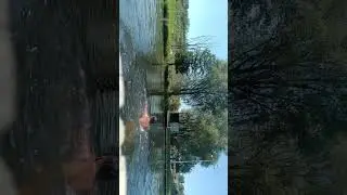 Белгородская область река Усердица