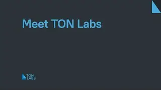 Meet TON Labs