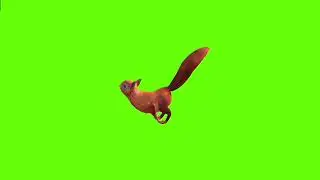 Right running squirrel green screen।cartoon green screen। squirrel green screen। ostad animation