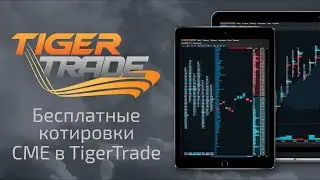 Бесплатные реальные котировки с биржи CME в TigerTrade
