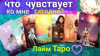 Что чувствует ко мне сегодня? | Его чувства | Лайм Таро | Таро гадание онлайн