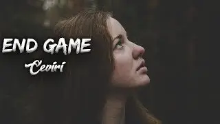 Taylor Swift - End Game (Türkçe Çeviri)