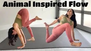 ANIMAL INSPIRED FLOW CLASS 🐒