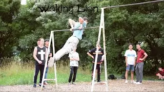 Waking Lion | Gimbarr