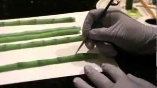 How to make realistic gumpaste bamboo using a silicone mold