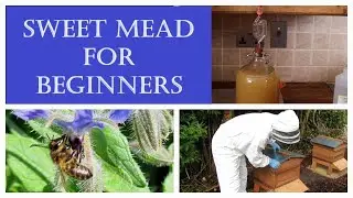 Sweet Mead for Beginners: A Brew Along Recipe