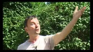 Теле-путешествие 1ч. (Екатеринбург).avi