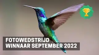 WINNAAR FOTOWEDSTRIJD - September 2022 Thema Natuur