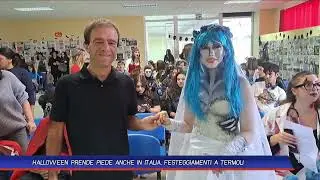 TLT NEWS EDIZIONE DEL GIORNO DEL 31 10 24