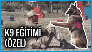 K9 Eğitimi - Polis Köpeği Eğitimi Nasıl Yapılıyor ? - TÜRKİYE (Videolardan Kesitler) #2