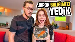 JAPON BALIĞIMIZI YİYORUZ!