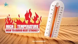 It’s so hot, don’t get heatstroke.🥵🥵🥵#heatstroke #cbd #hemp #weather #hot #healthcare #herbalextract