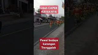Udah capek dalam pawai budaya karangan Trenggalek #music #cover #coversong #dj