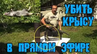 Смерть в прямом эфире. 1001 способ убить крысу.