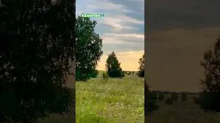 #music #казахстан #отпуск #cover #nature #lofi #shorts #short #shortvideo #надеждажитина #лето #2024