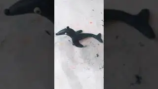 Seal making out of modelling clay for kids! FAST AND EASY 