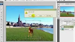 How to Remove a Background & Replace it With a New One