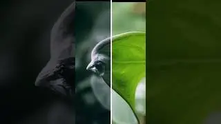 raw vs edited editing lovers also watch #shorts #editing #rp_editor_tricks
