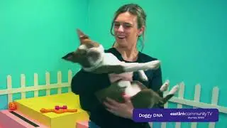 Doggy DNA - Coming Soon!
