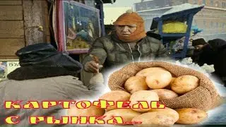 Картофель с рынка.Вот тебе и Сиреневый туман...