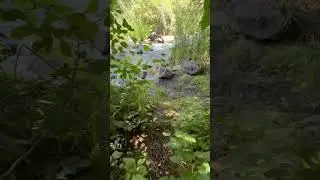 Млин Городище-Пустоварівське 