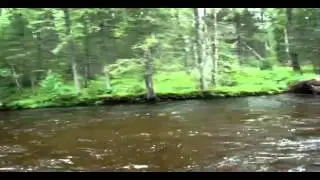 Река Большая Речка // www.rb03.ru