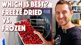 Freeze Drying Vs Freezing! The Truth About Which One Is Better