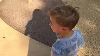 MaxiBon. Turtle back zoo2