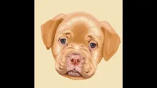 membuat vector binatang anjing