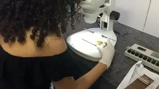 ESTÁGIO EM SAÚDE COLETIVA III: Vigilância em Saúde / Trabalho