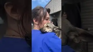 Ветальянс ,респект и уважение♥️