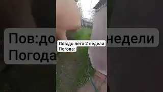 15 Мая 2024 